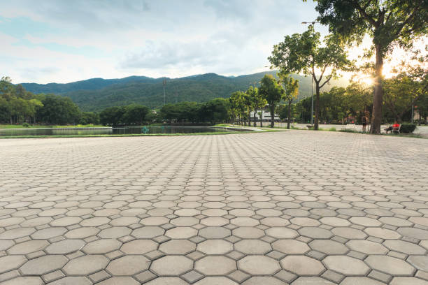 Best Best Driveway Pavers  in Beverly Hills, FL